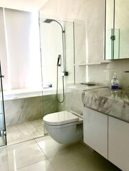 Cairnhill Residences (D9), Apartment #531480021